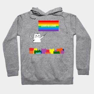 Teacher Cat Class Love Is Love LGBT Pride Month Hoodie